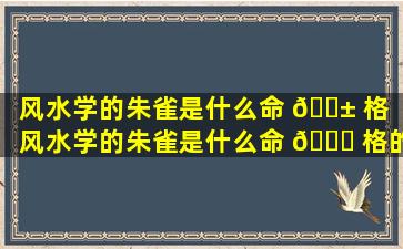 风水学的朱雀是什么命 🐱 格（风水学的朱雀是什么命 🕊 格的人）